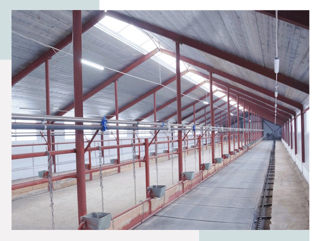 Строительство коровников в Черногорске от 612 руб.