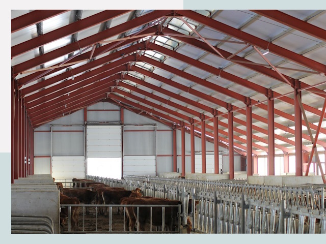 Строительство коровников в Черногорске