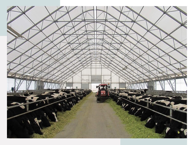 Тентовые коровники в Черногорске от 612 руб. - Надежно и доступно