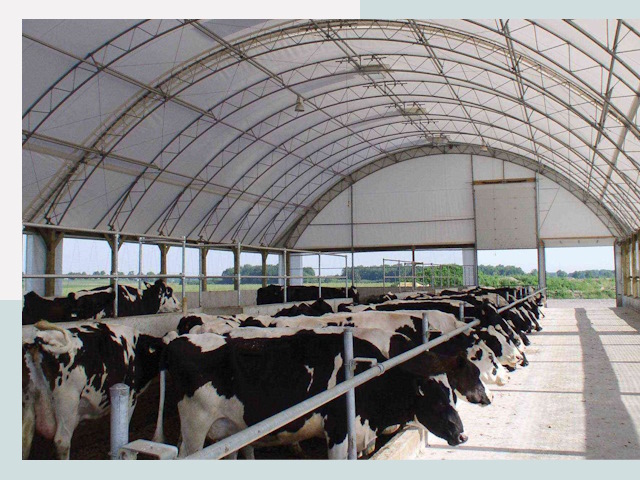 Тентовые коровники в Черногорске